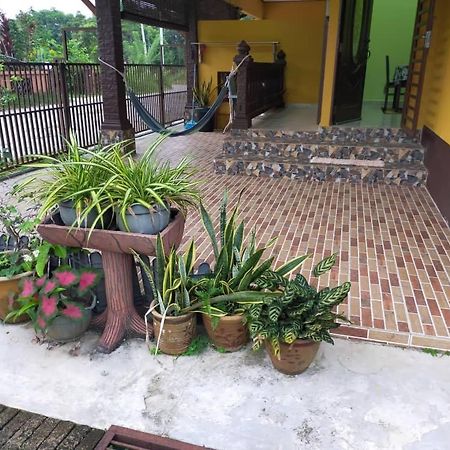 Rumah Tumpangan Di Kuala Terengganu, Terengganu Homestay D Buitenkant foto