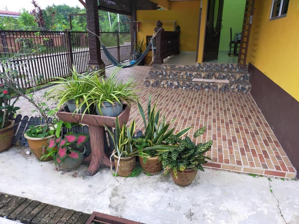 Rumah Tumpangan Di Kuala Terengganu, Terengganu Homestay D Buitenkant foto